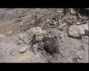 مجزرة العدوان السعودي الأمريكي -وادي المغسل -  مديرية المجز - محافظة صعدة  (6)