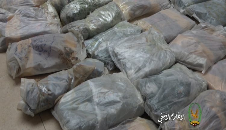 عصابة مخدرات152