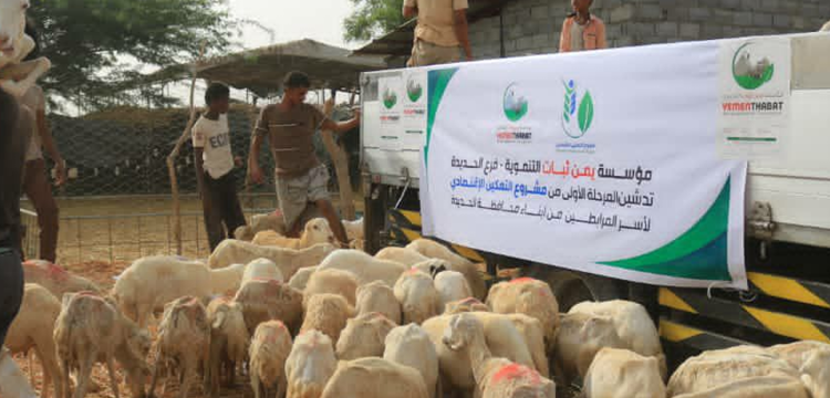 مؤسسة_يمن_ثبات_تدشن_مشروع_التمكين_الإقتصادي_لأسر_المرابطين_في_الحديدة